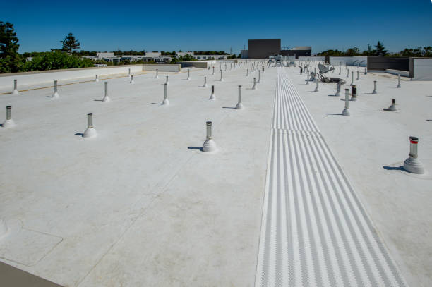 Skylights in Millbrae, CA